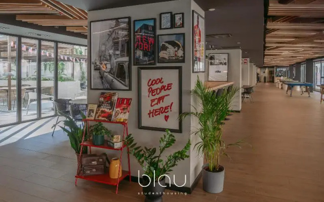 BLAU Student Housing & Language Academy