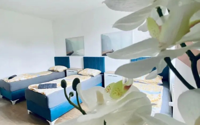 Spacious 4BR for 15 & 15 Min to Danube