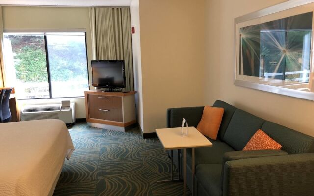 SpringHill Suites West Mifflin