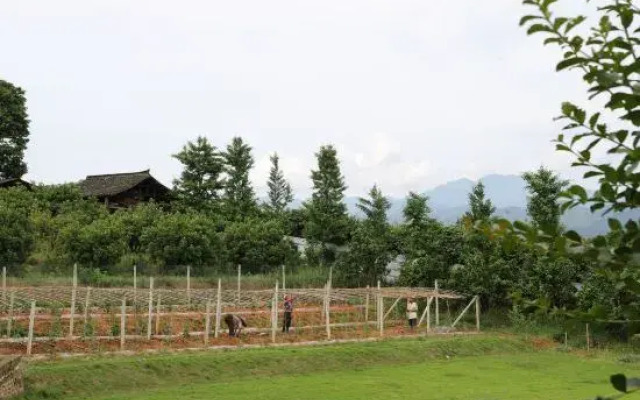 Mr. Dai Jiuzhuang Hostel