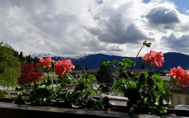 Appartement Miran by Miha