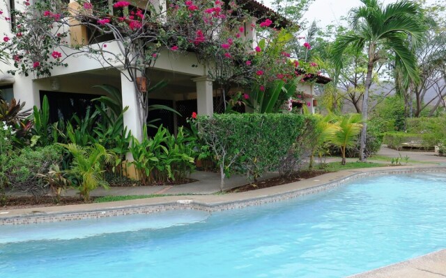 Tropical Gardens