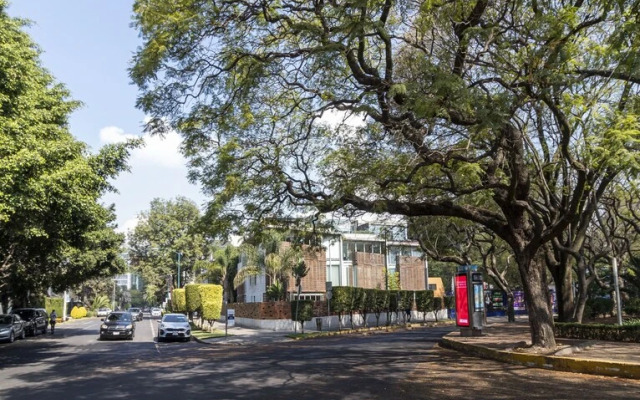Casa Polanco by Kukun