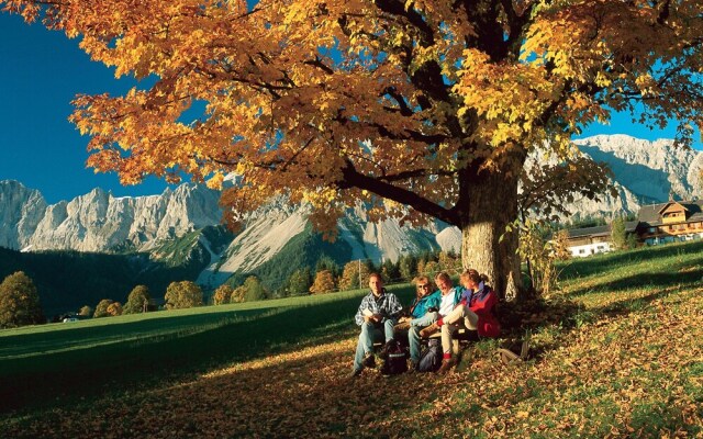 Spacious Apartment in Ramsau am Dachstein With Swimming Pool