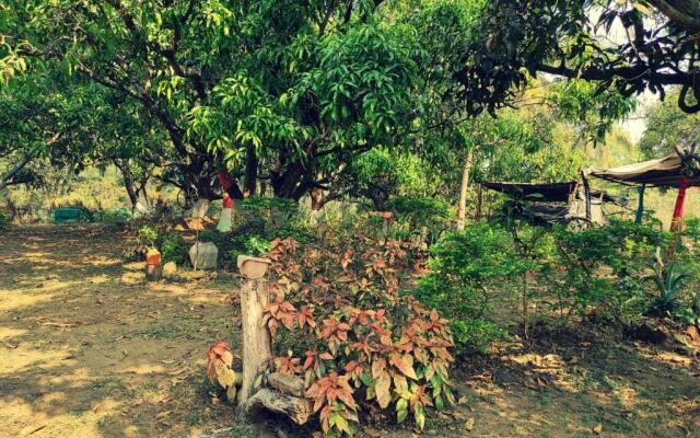 River Bird (Dalvi's Farm Tourism)