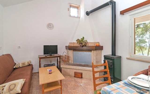 Stunning Home in Pucisca With 1 Bedrooms, Wifi and Outdoor Swimming Pool