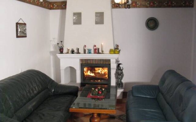 Vila Paltinis
