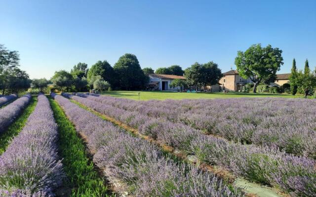 Agriturismo Corte Davini
