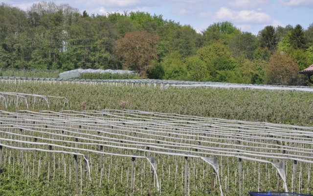 Obst- und Ferienhof Fahr