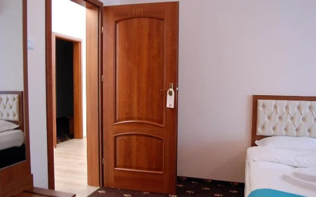 Hostel Paltinis