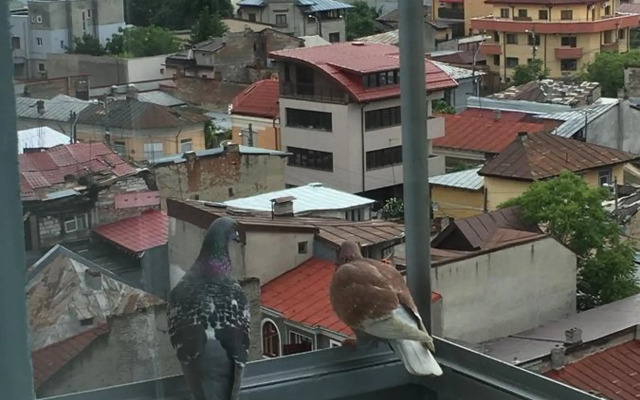 New Central Roof top view