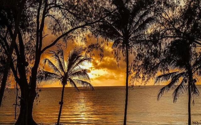 Flamboyant Diani Beach