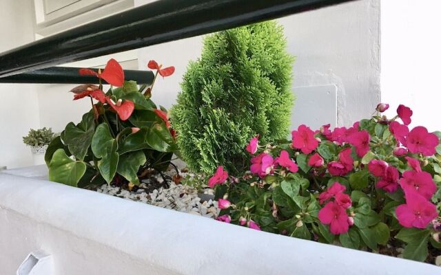 Mi Capricho 3 apartment With sea Views