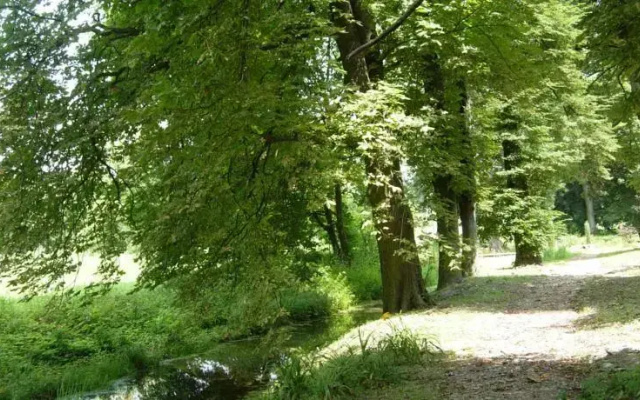 Dwór Udrycze
