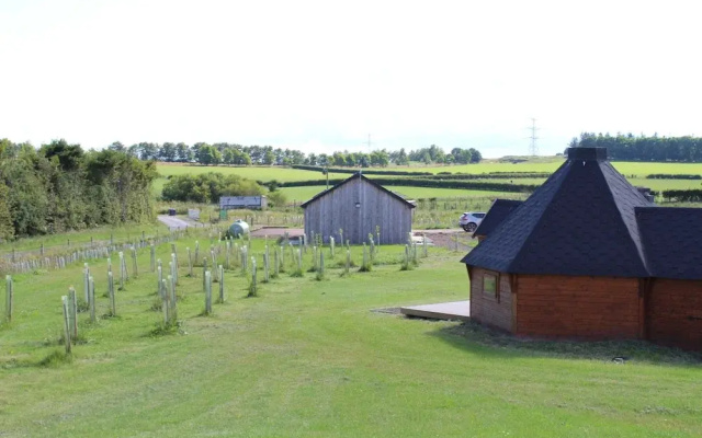 Belstruther Glamping