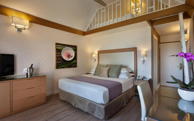 Orchid Eilat