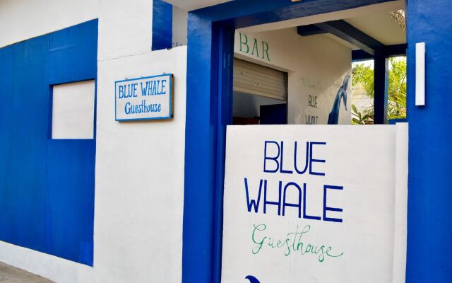 Blue Whale Guesthouse