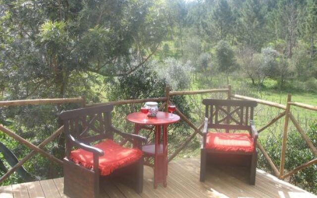 Monte da Gravita Vakantiehuizen