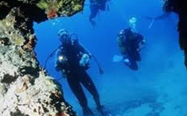 Apartment Valentino46