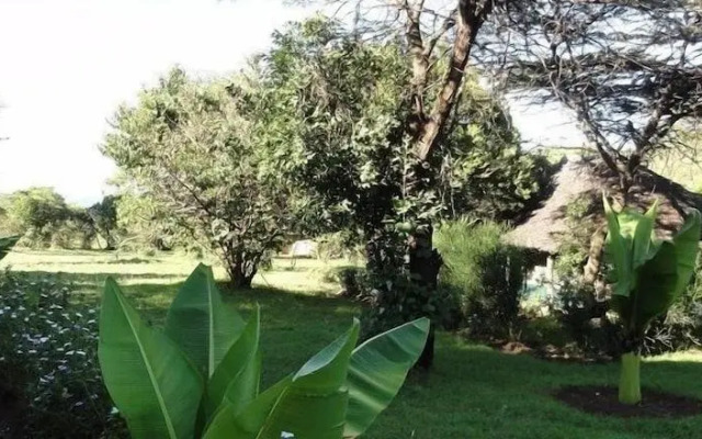 Ol-Moran Tented Camp