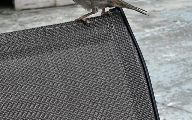 Apartments Lučić DnD