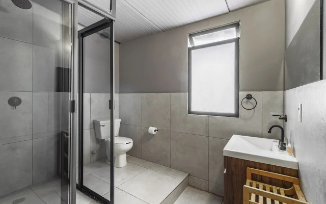 Singular Polanco Goldsmith