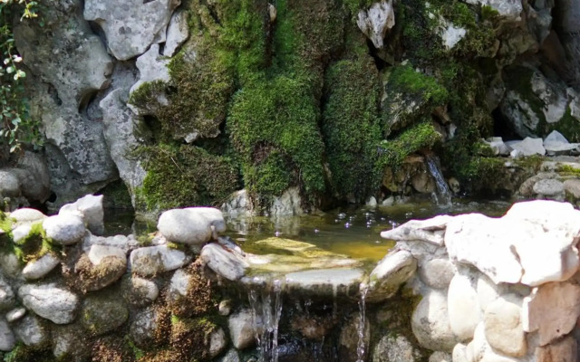 Villa Alpin