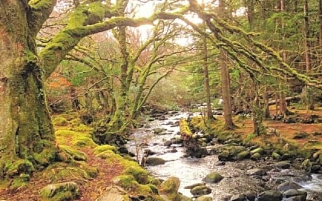 Rugged Glen Accommodation 2
