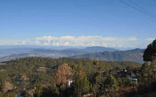 Pine pioneer the eco resort