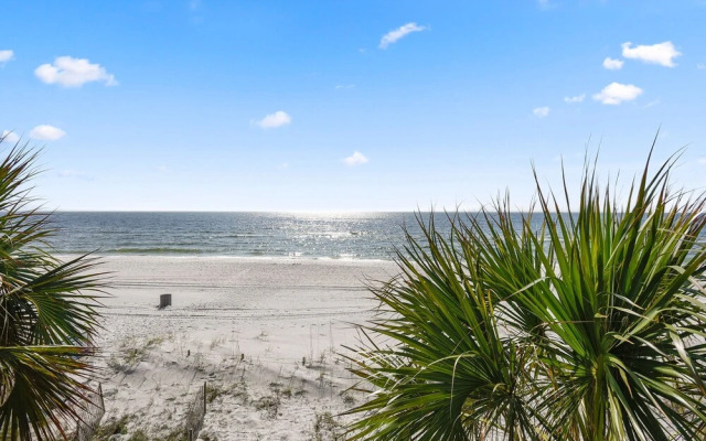 Nautical Watch B-8 by Vtrips