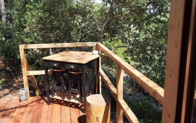 Cabane dans les arbres "La Kaz aux Cigales"