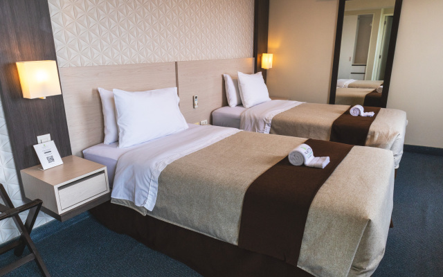 Palmetto Hotel Business San Miguel