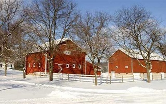 Springdale Farm Bed and Breakfast