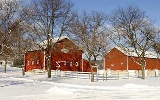 Springdale Farm Bed & Breakfast