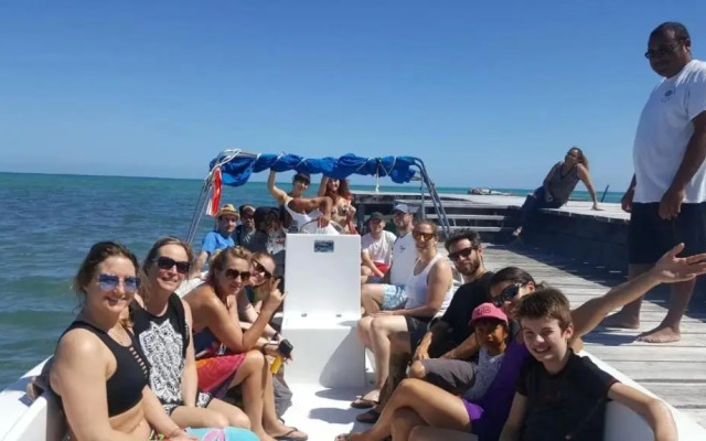 Tropical Paradise Express