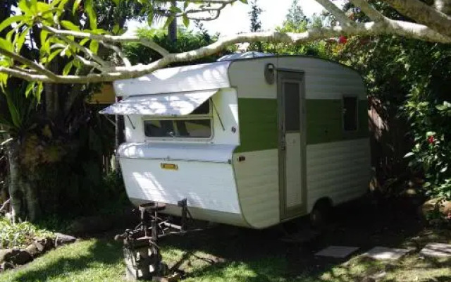 The Tree House, 6 Gowing Street