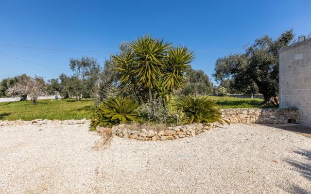 Country House among the olive trees
