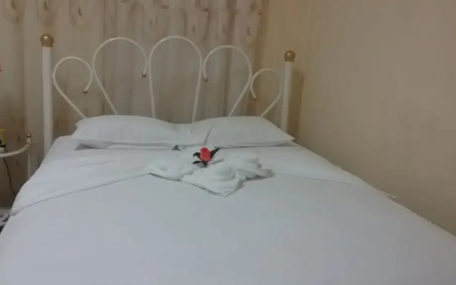 Hostal Colon 271