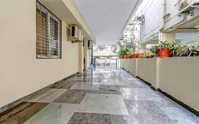 Treebo Trend The Butterfly