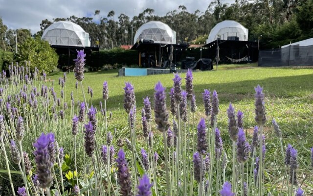 Samaipata Glamping