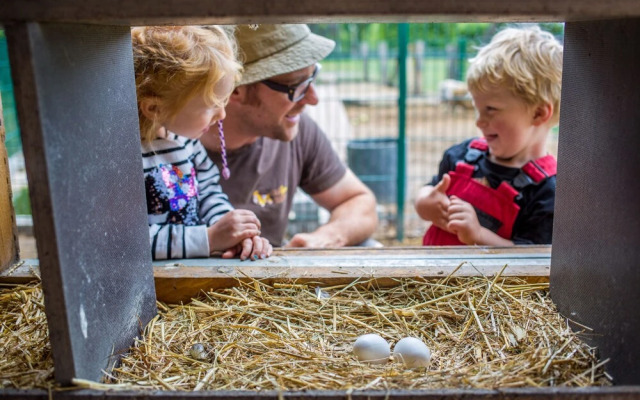Familien Erlebnishof Büdlfarm