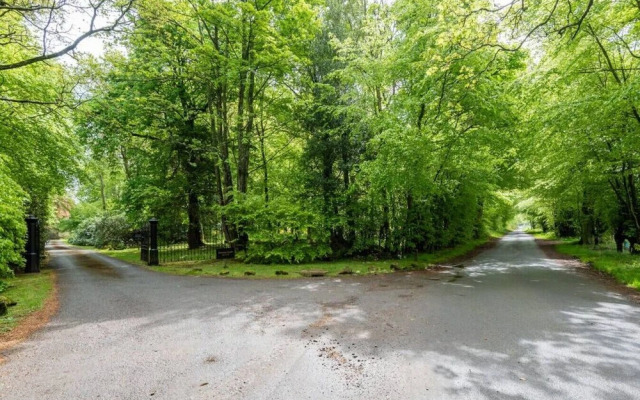 The Nutcracker Suite