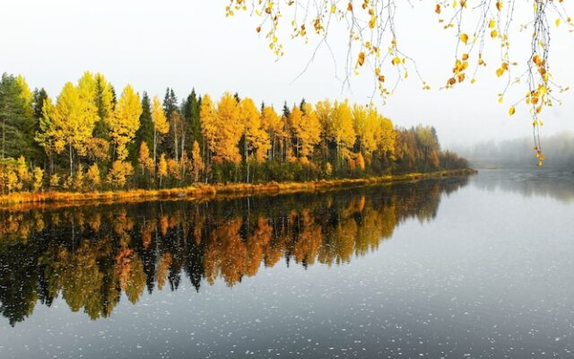 The Iconic Wikkelä Villa