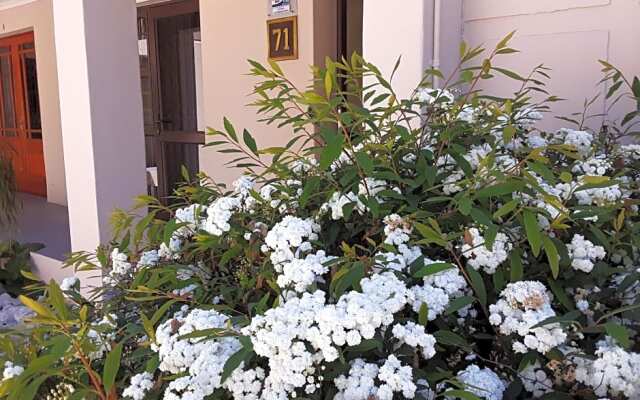 71 on Albert Guest House