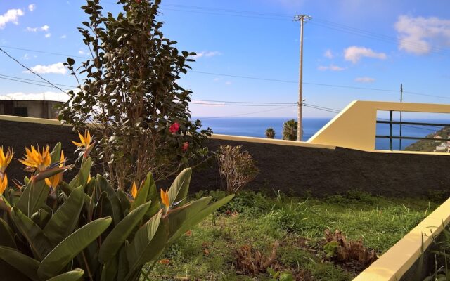 The Sun Palms House by ETC