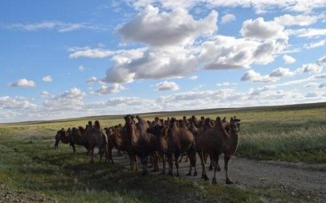 Hotel Mongolia