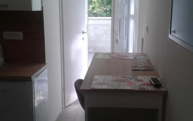 Studio Antonio New