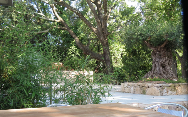 Le Castellas du Pic St Loup