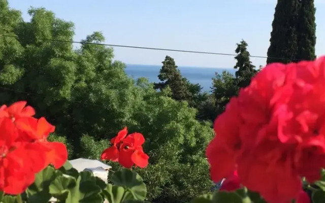 Guest House Galina