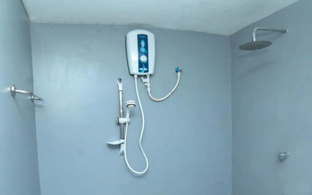 Rainforest River Edge